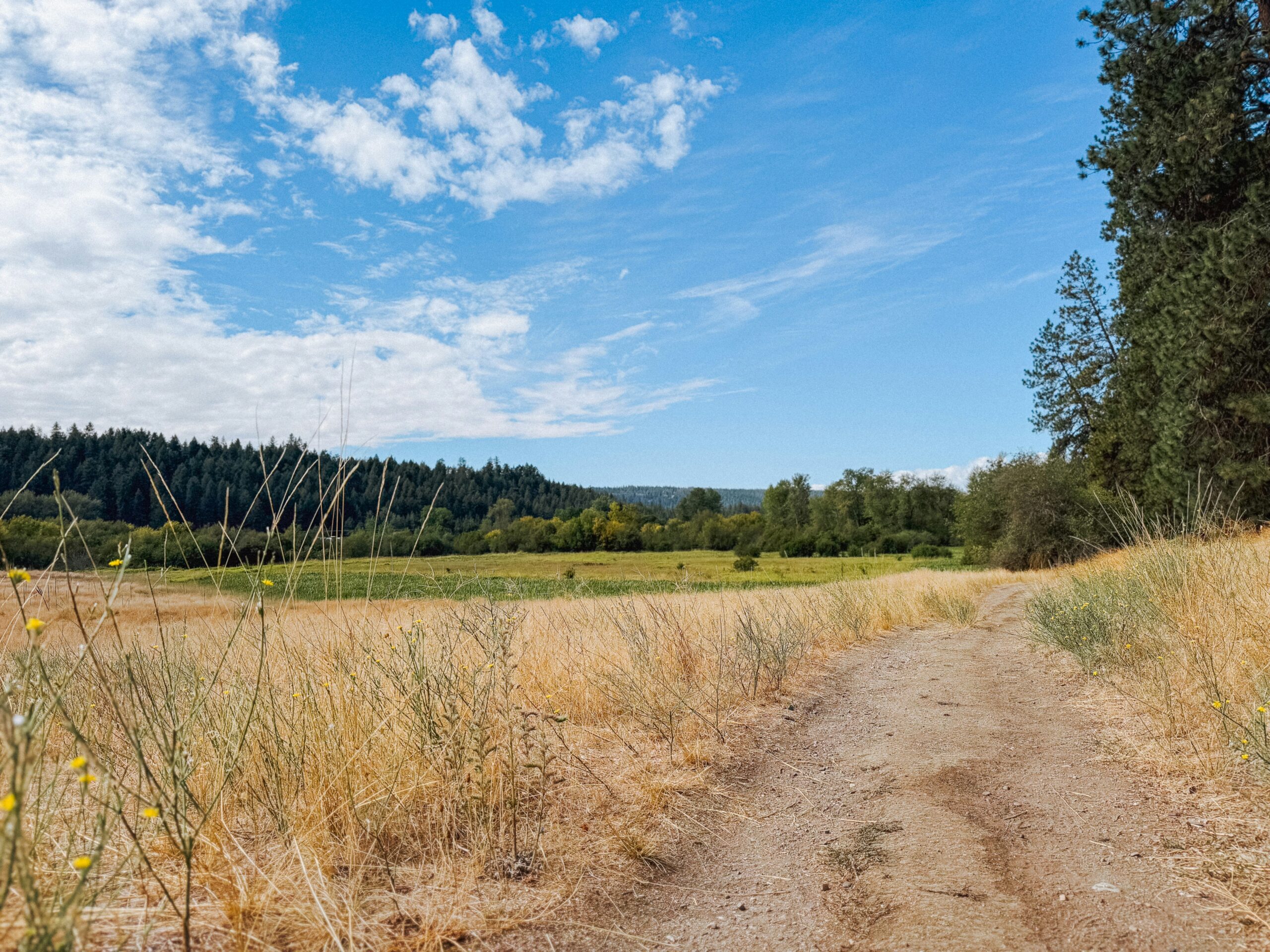 Riverside to Lake Spokane